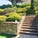 Maya - Golfe De Saint-tropez