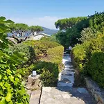 Maya - Golfe De Saint-tropez