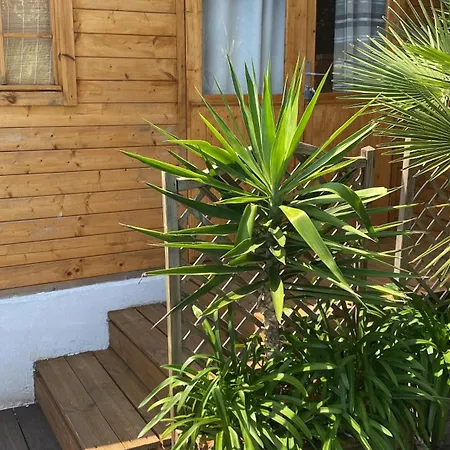 Szálloda Maya - Golfe De Saint-tropez