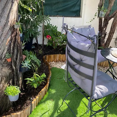 Maya - Golfe De Saint-tropez