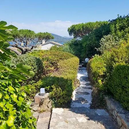 Maya - Golfe De Saint-tropez