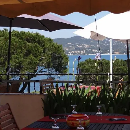 Szálloda Maya - Golfe De Saint-tropez