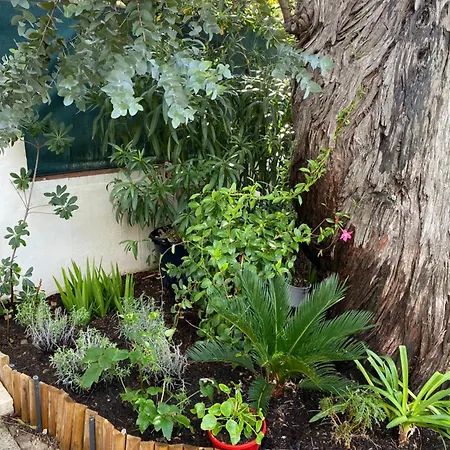 Maya - Golfe De Saint-tropez 2* Gassin